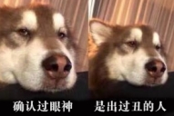 搜狗截圖18年06月02日1129_1.jpg