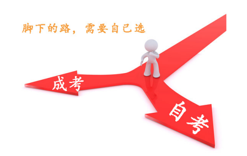 學歷資訊